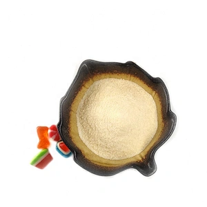 Edible Gelatin 240 Bloom Grade Gelatin Powder for Candy