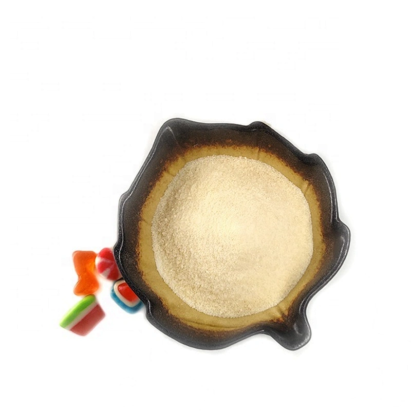 Edible Gelatin 240 Bloom Grade Gelatin Powder for Candy